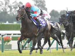 Manage your video collection and share your thoughts. é«˜æ¾å®®è¨˜å¿µ æƒ³å®šé¨Žæ‰‹ ãƒ©ã‚¦ãƒ€ã‚·ã‚ªãƒ³ã¯m ãƒ‡ãƒ ãƒ¼ãƒ­é¨Žæ‰‹ ã‚¤ãƒ³ãƒ‡ã‚£ãƒãƒ£ãƒ³ãƒ—ã¯ç¦æ°¸ç¥ä¸€é¨Žæ‰‹ ç«¶é¦¬ãƒ‹ãƒ¥ãƒ¼ã‚¹ Netkeiba Com