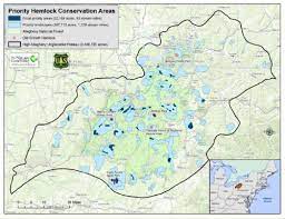 Explore camper reviews and photos of the campgrounds in cook forest state park. Cook Forest Conservancy Cook Forest State Park Maps