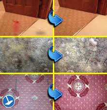 Uk's expert rug cleaning service. Carpet Cleaners Exeter Cleaning Carpets Exeter Wipe Away Clean