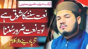 Ahl e Nazar Ki Aankh Ka Tara Ali Ali