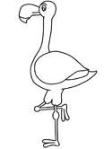 Coloring page standing flamingo animal cartoon character vector illustration. Flamingo Coloring Pages