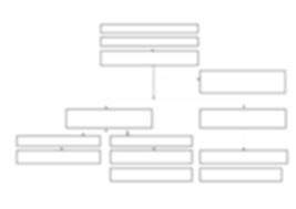 organizational chart iad organizational chart internal