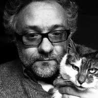 PDF) "Lucio D'ambra: il cinema", numero speciale di «Bianco e Nero», LXIII,  5, settembre-ottobre 2002.