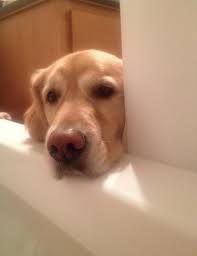 Today's Best Photo 💖💔🖤🖤