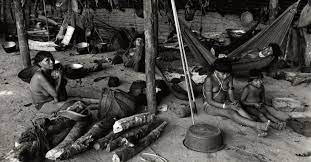 Christopher columbus thought he had reached the east indies, but portuguese vasco da gama had already reached india via the indian ocean route, when brazil was colonized by portugal. The Indigenous World 2021 Brazil Iwgia International Work Group For Indigenous Affairs