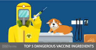 five dangerous dog vaccine ings
