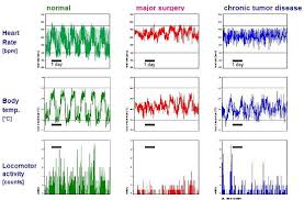 02.10.2020 · a normal resting heart rate for adults ranges from 60 to 100 beats per minute. Raw Data From Long Term Measurements In Healthy And Diseased Mice Download Scientific Diagram