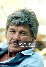 313 Steve Bronson Stock Photos, High-Res Pictures, and Images