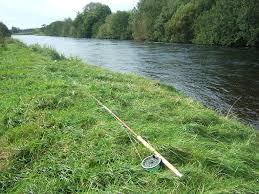 Line weight for vintage bamboo spey rod