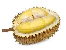 Arial drone view of the plantations international musang king durian plantations in johor, malaysia. Sweet Smell Of Success Eurochem Group