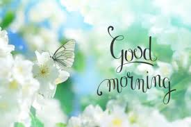It's time to wake up and do something important for this world. 79 Good Morning Images With Flowers Have A Beautiful Day