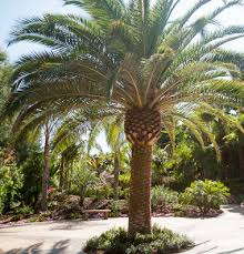 Maybe you would like to learn more about one of these? Grounds Palmer Ranch Master Association