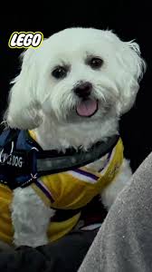 Mike Broder (@mikebroder1974)