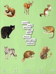 App Shopper Animal Name Game Games Fun Learning Games Animals Learning Games