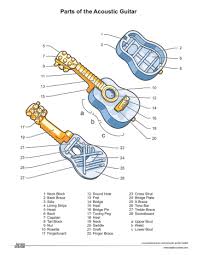 60 essential guitar chords that can make you sound amazing. Acoustic Guitar Diagram Manualzz