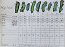 Hog Neck Golf Club - Course Profile | Course Database