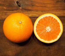 The most common navel orange trees material is metal. Citrus Plant It Hawaii
