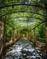 The National Garden Of Athens Formerly Known As The Royal Garden Athens Attica Athens Places Worth Visiting