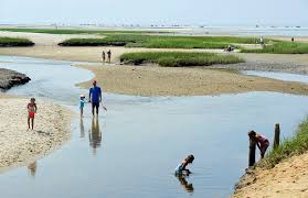 paines creek cape cod online