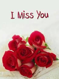 I Miss You Red Rose Pictures Beautiful Red Roses Red Roses