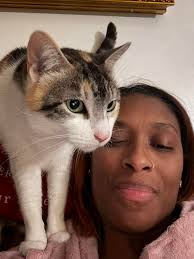 Fostering a 6-month-old husky and her BFF