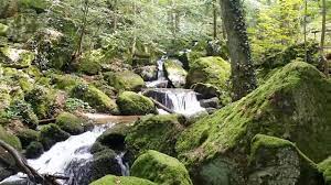 Über sieben brücken musst du gehen sang schon peter maffay (original fast jedes schwarzwaldtal hat seine wasserfälle, so auch sasbachwalden. Gaisholl Wasserfalle Sasbachwalden On Vimeo