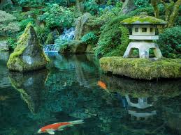 Bilder aus unserem garten.roji japanische gärten. Japanische Garten M Kubli Gartenpflege Und Gestaltung Japanische Garten