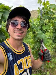 Job opportunities in New Zealand for late 40's?