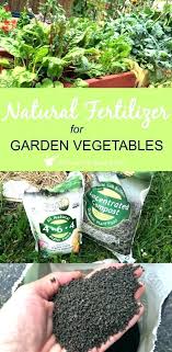 Best Fertilizer For Garden Rootsistem Com