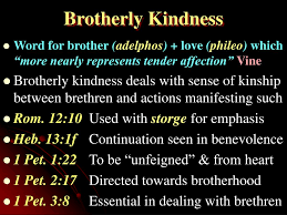 Ppt Brotherly Kindness Love Powerpoint Presentation Free Download Id 6414785