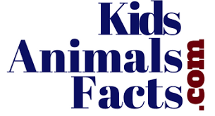 All of us are unique and sometimes very unusual in our behavior. Home Kids Animals Facts