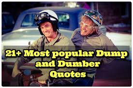 Browse +200.000 popular quotes by author, topic, profession, birthday, and more. 21 Most Popular Dumb And Dumber Quotes Positive Thoughts Quotes
