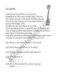 To improve reading comprehension, first graders must have a strong foundation of reading skills. Comprehension Grade 1 Esl Worksheet By Rashmi9898