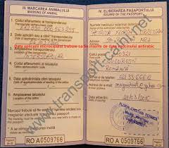 Cât costă și ce acte sunt necesare. Procedura Transport Caini Acte Necesare Pasaport Transport Caini Transport Caini International