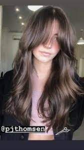 Follow Pjthomsen On Instagram Bangs Brunette Curtainbangs Longhair Beauty Hair Styles Long Hair Styles Hair