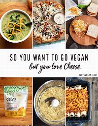 Stuffed with veggies and beans, covered in sauce, and topped with melted cheese, this recipe is one that everyone will enjoy. So You Want To Go Vegan But You Love Cheese I Love Vegan