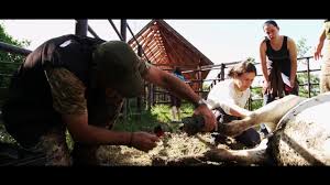 Online teljes filmek magyarul videa ⭐⭐⭐⭐⭐ a szabadság ötven árnyalata dvd megjelenés 2018 a szabadság ötven árnyalata videa magyur a szabadság ötven árnyalata 2018 teljes film online magyarul házasságukkal beteljesült ana és christian szerelme, de a boldogsághoz ennél több kell. A Szabadsag Ara Teljes Film Magyarul Videa A Szokes A Szabadsag Ara Online Teljes Film A Halalraitelt Videa Teljes Film Magyarul 2007