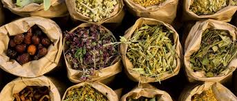 How To Reverse Insulin Resistance With Natural Treatments Makari Wellness