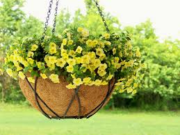 The best plants for hanging baskets are tender perennials and annuals that have been bred to flower for. Diy How To Make A Moss Lined Hanging Flower Basket Capital Region Living Magazine