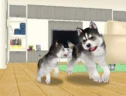 Dogz family cheats, cheat codes, walkthroughs, guides, videos and more! Petz Dogz Family Hands On Gamespot