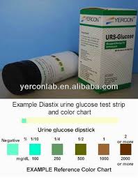 Bayer Multistix 10sg Buy Multistix Test Multistix 10sg Urine Test Strips Urine Test Strip 10sg Product On Alibaba Com