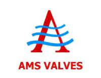 Направляющая шина ams для makita 2100 руб. Ams Valves