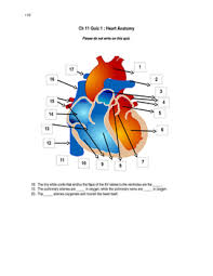 Want 6,000+ more practice questions? Anatomy Of Heart Quiz Anatomy Drawing Diagram