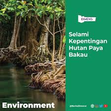 Hutan paya bakau menyumbang kepada ekonomi dengan sumber lautnya yang kaya serta kayu yang bermutu tinggi, menyelamatkan harta benda dan nyawa dengan menghalang proses hakisan pantai dan menapis bahan cemar dari laut dan. Puti Iylia Maisarah Iyliaputi Twitter