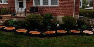 Express tree & landscaping service llc is a full services tree removal and landscaping company for river valley and northwest arkansas. Home Express Tree Service
