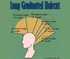 Jan 14, 2021 · we asked stylists from honolulu to boston what the most popular haircuts for women are in 2021. How To Cut A Long Graduated Haircut Step By Step Illustrated Instructions