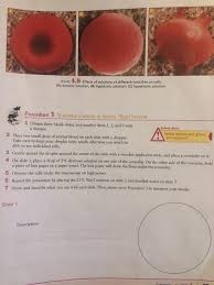 It is commonly used when describing the response of cells immersed in an external solution. Figure 4 9 Effects Of Solutions Of Different Chegg Com