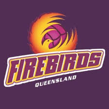 Queensland Firebirds Anz Championship Netball Brisbane Queensland Australia Netball Sports Logo Netball Games