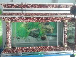 Ini caranya menyiapkan akuarium ikan idaman untuk pemula. Aneka Model Aquarium Ranchu Wikipedia 1 513 Likes 2 Were Here Barbera Seo