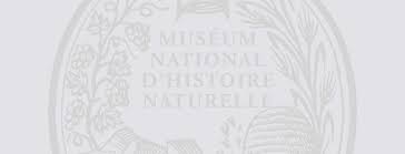 Image result for Octolepis decalepis